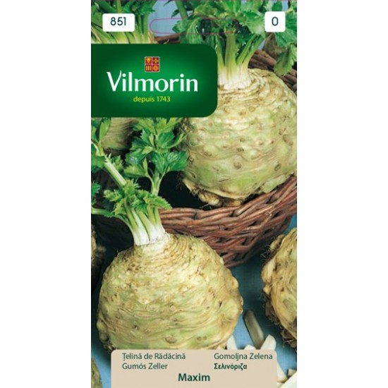 Celery root maxim 851 Aromatics seeds 