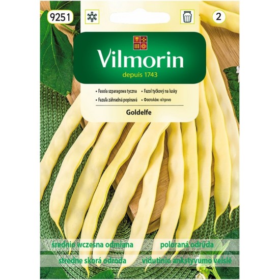 Bean long yellow goldelfe 9251 Vegetable seeds