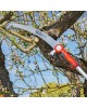 Prunning saw Power Cut Pro 370 Maintance tall tree 