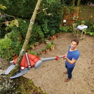 Telescopic tree cutter RR 400T Dual Cut