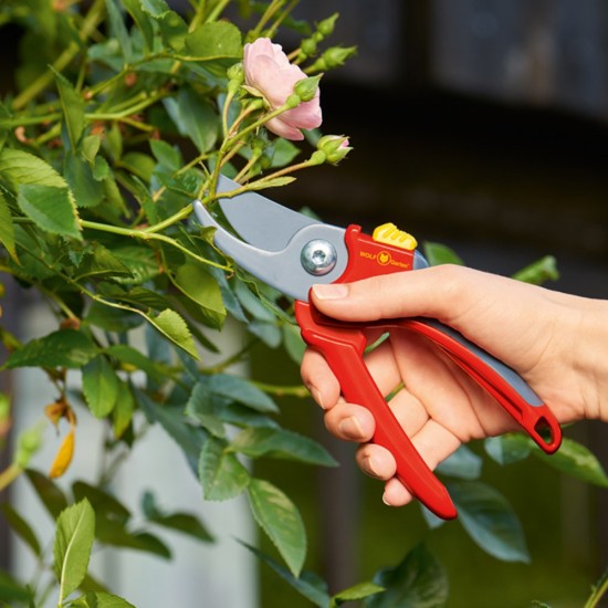 Secateur RR 2500  Secateurs