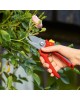 Secateur RR 2500  Secateurs