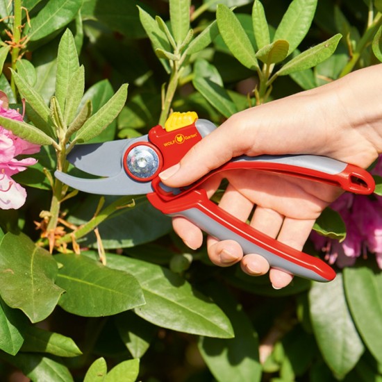 Secateur RR 4000  Secateurs