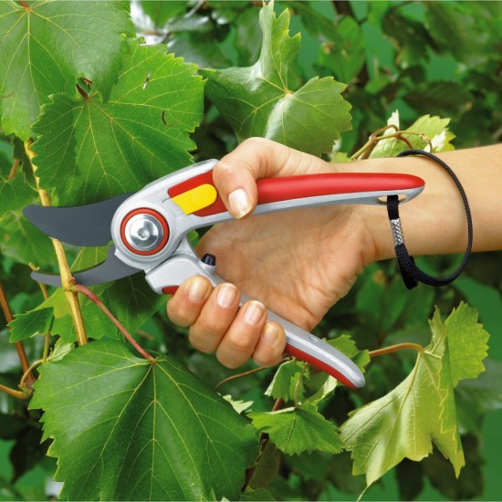 Secateur RR 5000  Secateurs