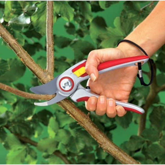 Secateur RR 5000  Secateurs