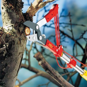 Tree lopper RC-M 