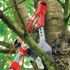 Tree lopper RC-VM 